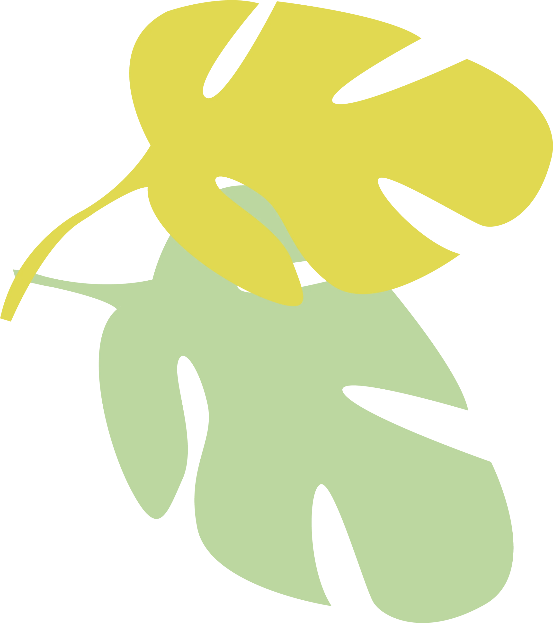 feuilles vertes feuilles vertes